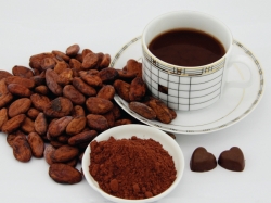 Uống ca cao có béo không? Chia sẻ thực tế của người sử dụng 