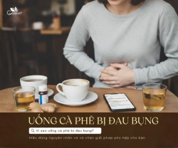 Uống Cà Phê Bị Đau Bụng - Hiểu Đúng Nguyên Nhân Và Chọn Giải Pháp Phù Hợp Cho bạn