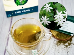Uống chè vằng lợi sữa có đúng không?