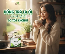 Uống Nước Lá Ổi Hàng Ngày Có Tốt Không?