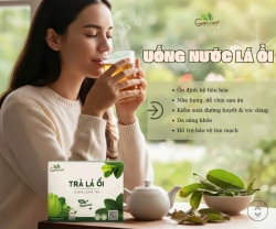 Uống Nước Lá Ổi Một Thời Gian, Cơ Thể Thay Đổi Gì?