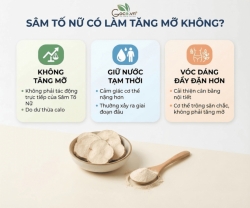 Uống sâm tố nữ có tăng cân không? Giải đáp đúng từ góc nhìn khoa học