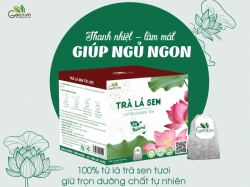 Uống trà lá sen giảm cân an toàn cho sức khỏe