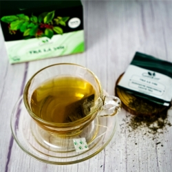 Uống Trà Lá Vối Mỗi Ngày Điều Trị Bệnh Tiểu Đường?