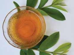 Uống trà ổi có giảm cân không?