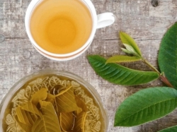 Uống trà ổi có giảm cân không thật không?