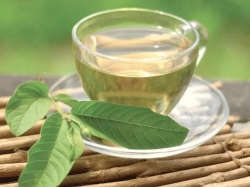 Uống trà ổi có tác dụng gì? Lợi ích ít người biết