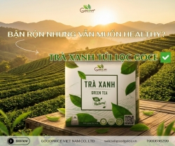 Uống Trà Xanh Có Gây Mất Ngủ Không? Cách Uống Đúng Để Ngủ Ngon