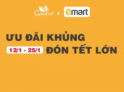 [Goce Việt Nam x Emart] - Ưu đãi khủng đến 50% - Đón tết lớn tại chuỗi siêu thị Emart 