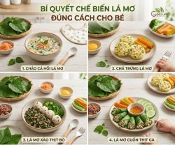 Vì Sao Cần Chọn Đúng Cách Sử Dụng Lá Mơ Cho Bé