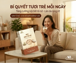 Vì Sao Sâm Tố Nữ Có Thể Tác Động Đến Nội Tiết Nữ