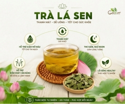Vì Sao Trà Lá Sen Có Tác Dụng Gì Được Tìm Kiếm Quanh Năm?