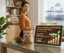 Xuất Khẩu Cà Phê Việt Nam Có Duy Trì Đà Tăng Năm 2026?